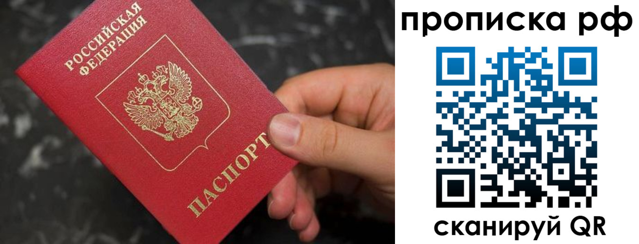 прописка 2025 в Кингисеппе